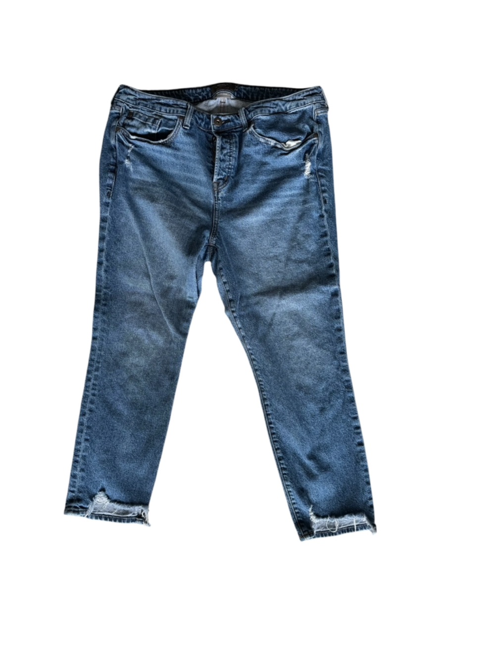 Torrid High Rise Straight Jeans 14R Distressed Raw Hem Medium Wash
